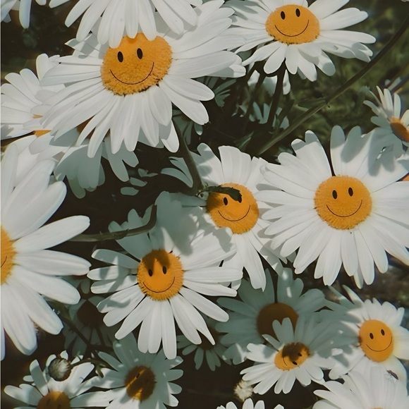 daisybee747